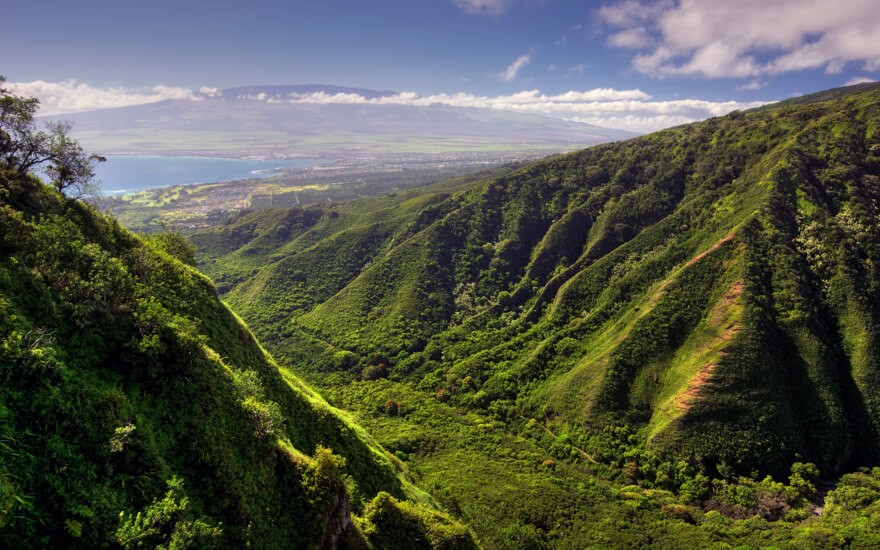 maui cruise excursions