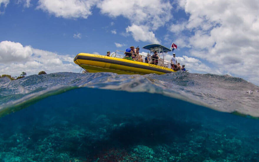 oahu zodiac tour