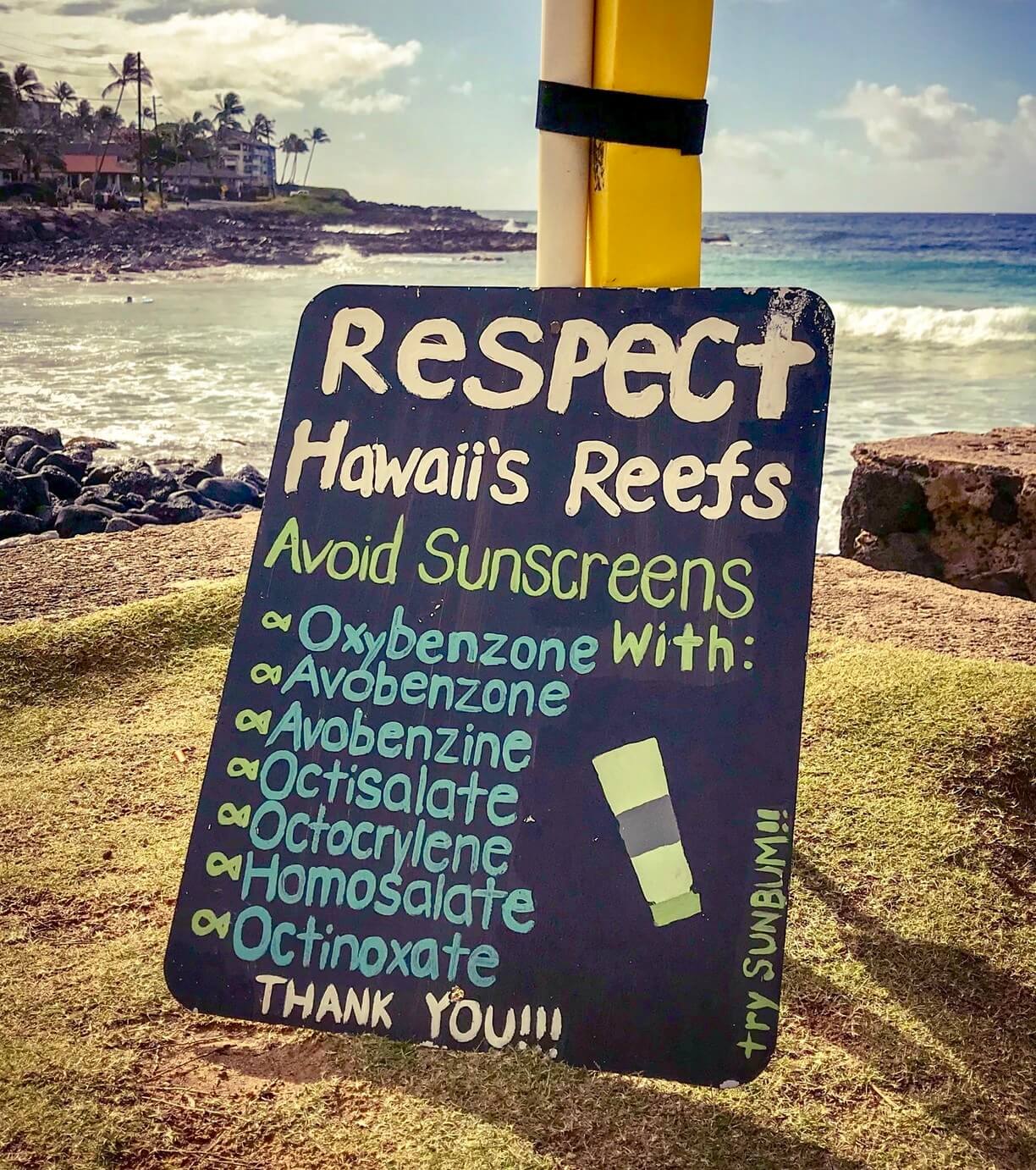 reef safe sunscreen hawaii
