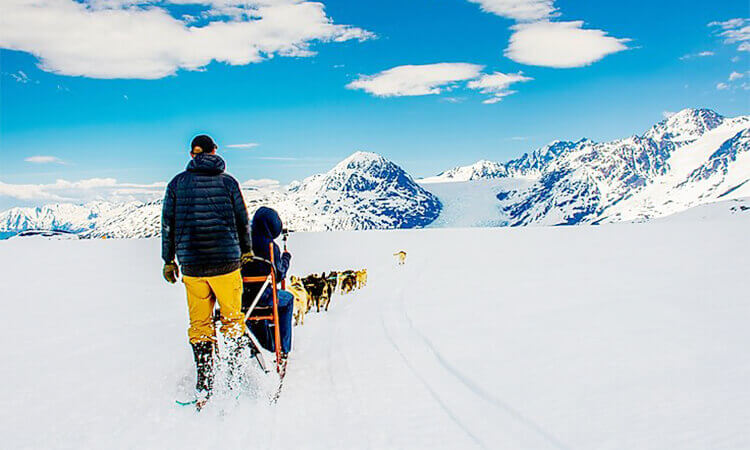 Helicopter and Glacier Dogsled Tour