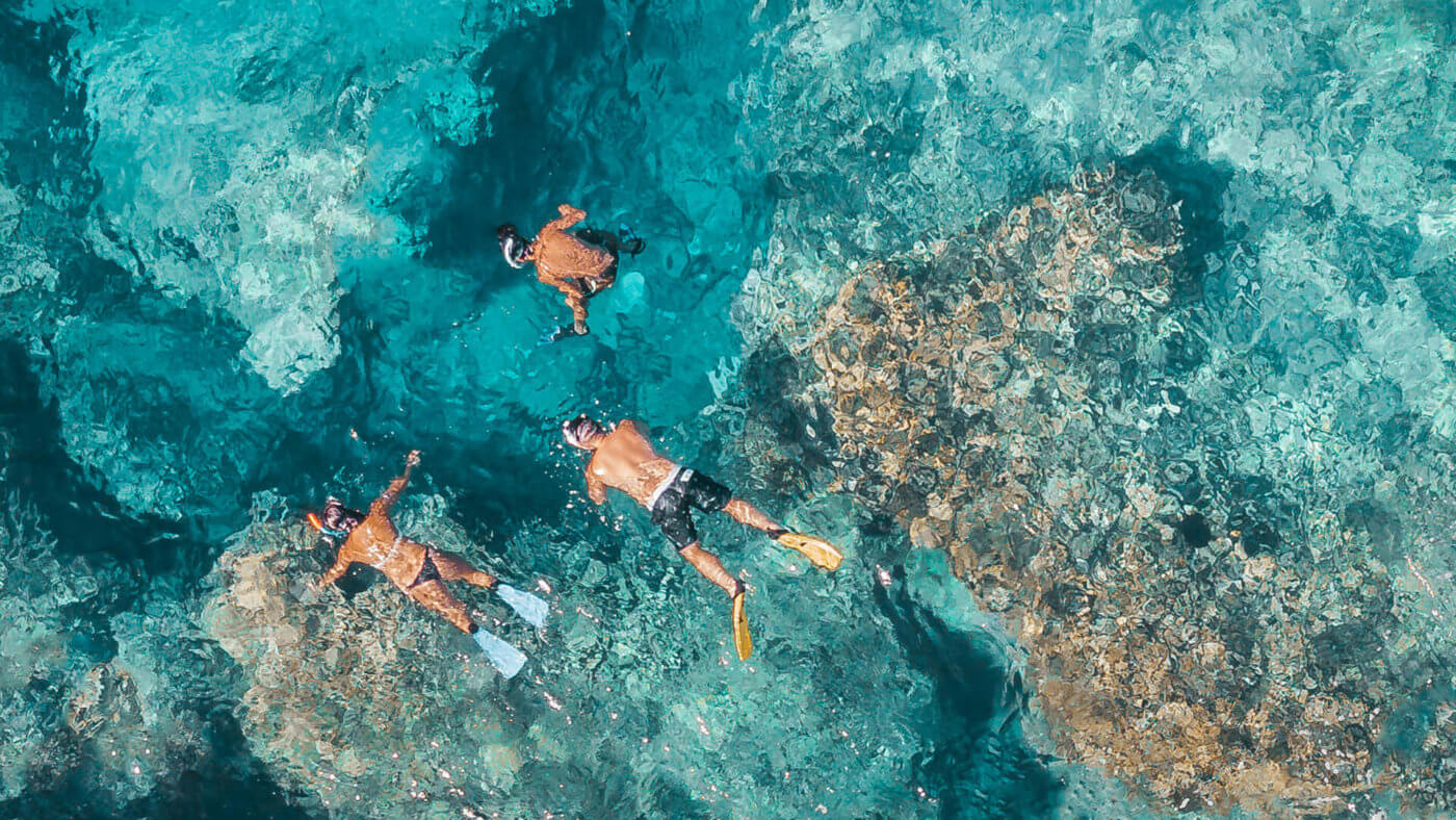 snorkelers in tropical reef